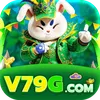 v79g Logo